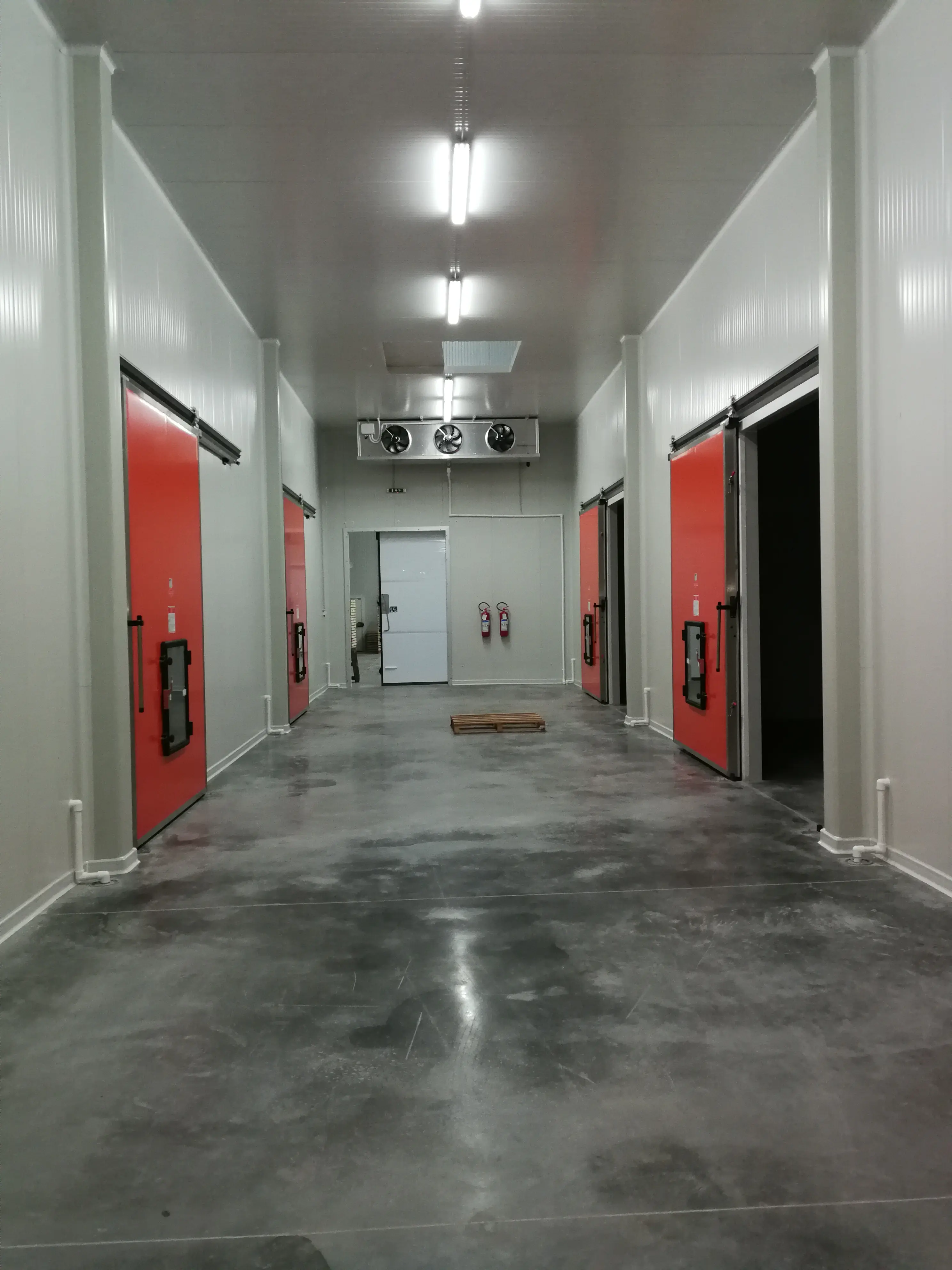 Plantaže Prodanović - Topola