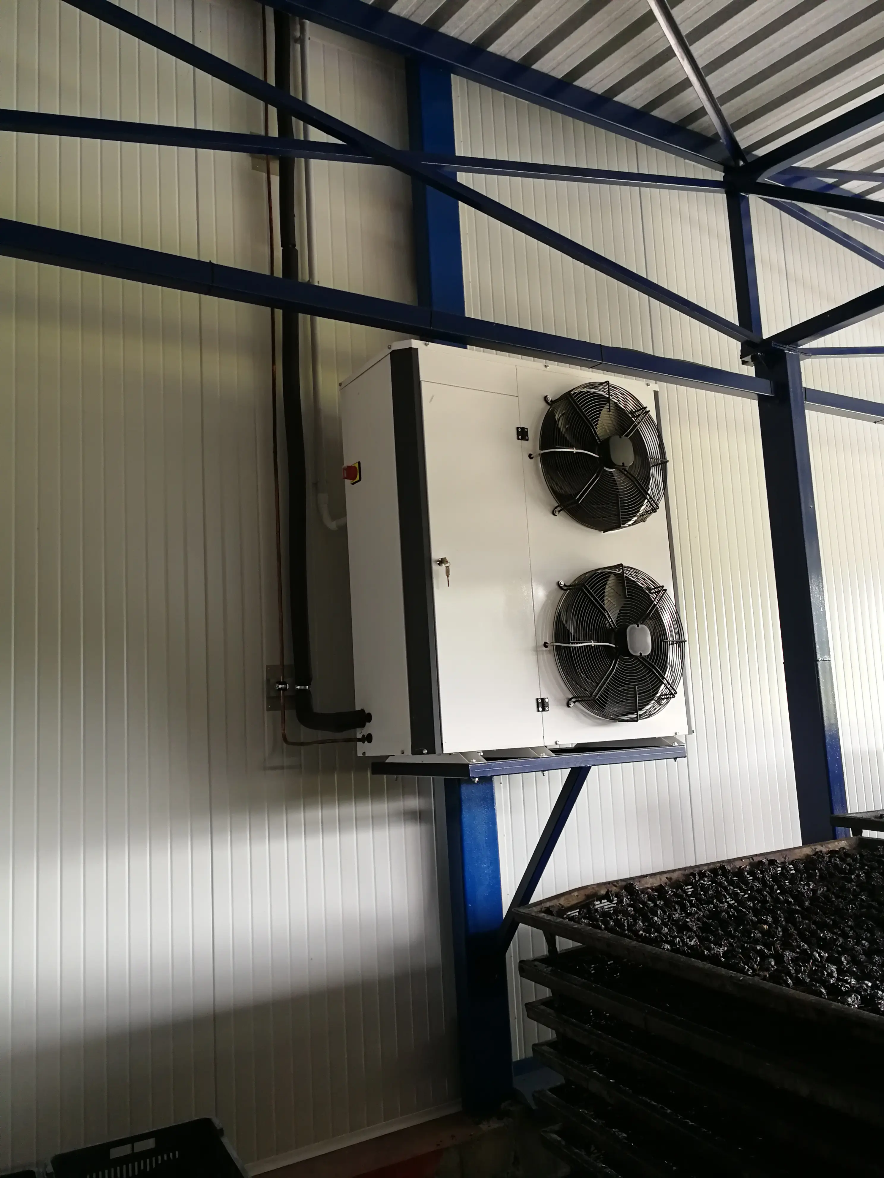 Isparivač - Podgorina voće - Osečina